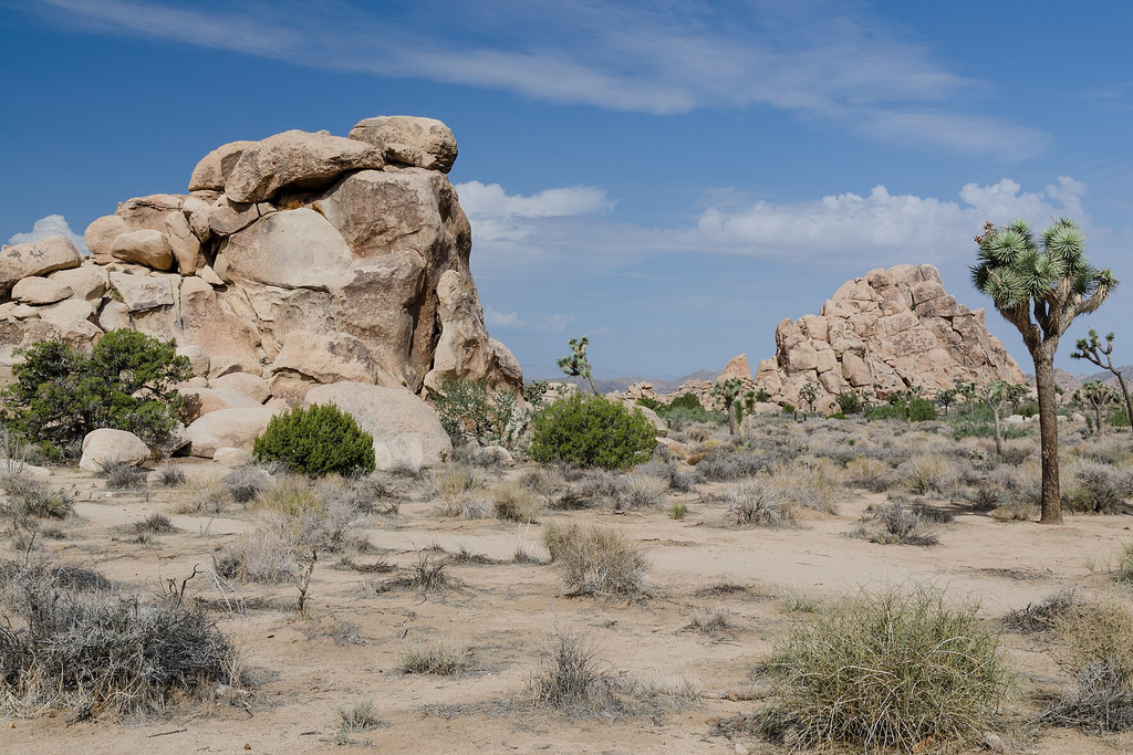 Destination. Area 3 National Parks in Urban Areas Where Nature Isn’t Far from Your Hotel ...