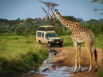 A Thoughtful First Safari in South Africa
