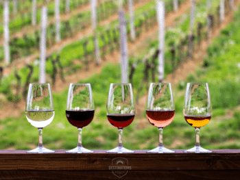 Cheers! To These European Wine Tasting Destinations