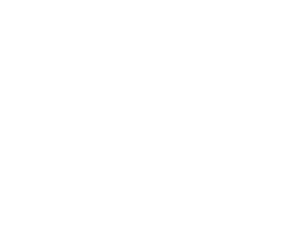Destinations Inc. Logo White