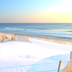 In Winter, There's Even More Along the Jersey Shore