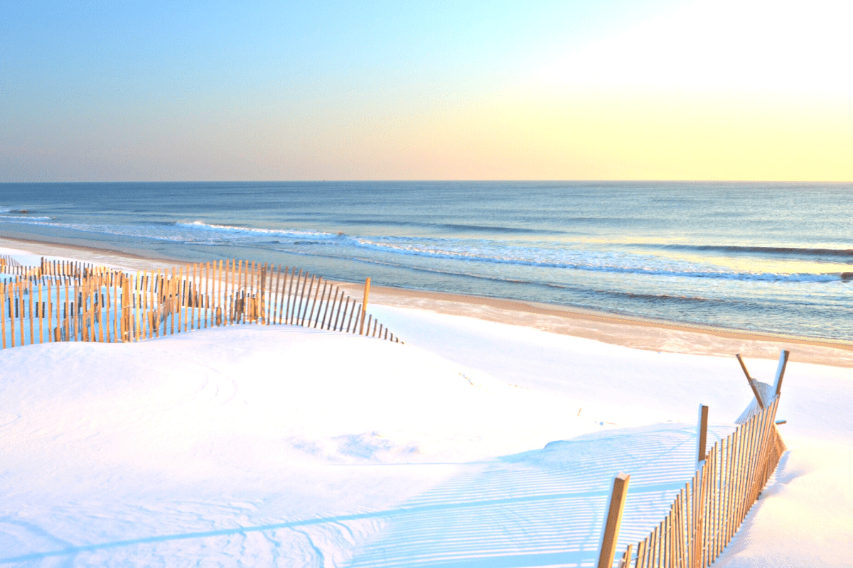 In Winter, There's Even More Along the Jersey Shore